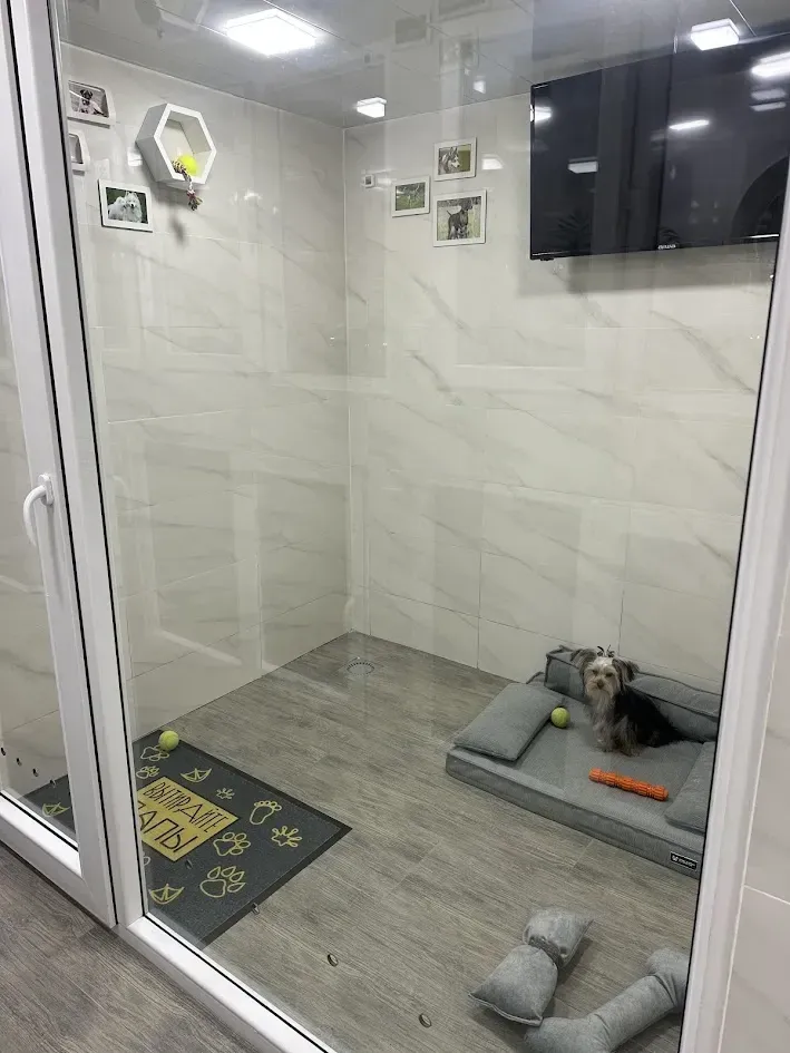Pet hotel